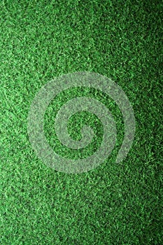 Artificial Grass Detail