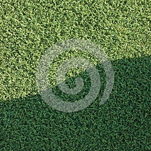 Artificial grass fake turf lawn texture field