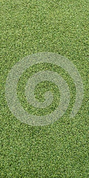 artificial grass field