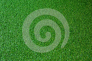Artificial Grass,grass
