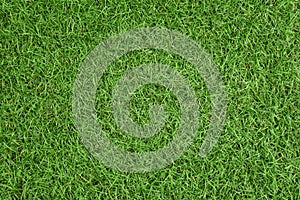 Artificial grass,green grass background