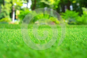 Artificial grass. Landscaping with artificial turf background. Selective focus