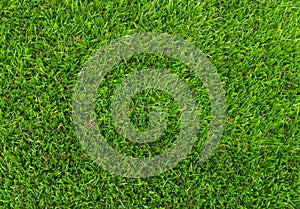 Artificial grass plastic cesped photo