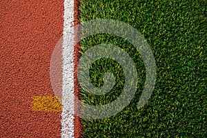 Artificial grass and run track texture