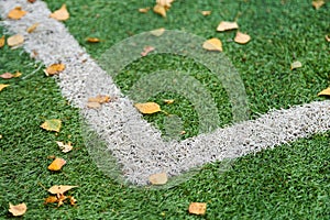 Artificial grass, sports field cover