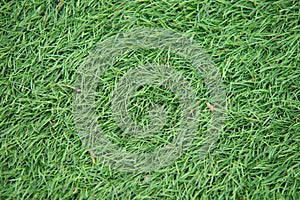 Artificial green grass close up macro