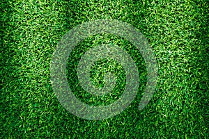 Artificial green grass texture for design.