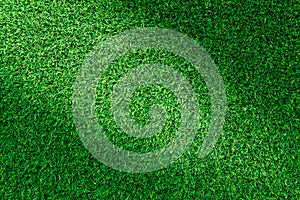 Artificial green grass texture for design.