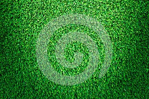 Artificial green grass texture for design.