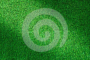 Artificial green grass texture for design.