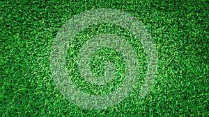 Artificial green grass texture for design.