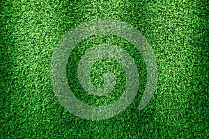 Artificial green grass texture for design.