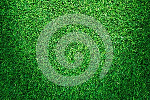 Artificial green grass texture or green grass background.