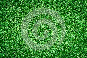 Artificial green grass texture or green grass background for design.