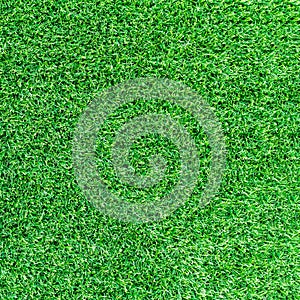 Artificial green grass texture or green grass background for golf course. soccer field or sports background