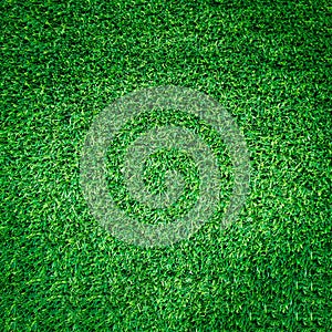Artificial green grass texture or green grass background for golf course. soccer field or sports background
