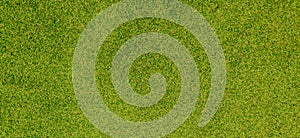 Artificial Green Grass Textured Background