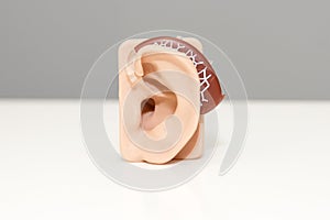Artificial human ear model with hearing aid on white table. Plastic ear model. Medical theme or science classes.
