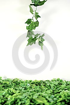 Artificial Indoor Ivy Vine