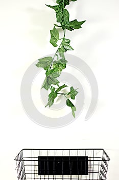 Artificial Indoor Ivy Vine