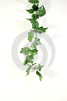 Artificial Indoor Ivy Vine