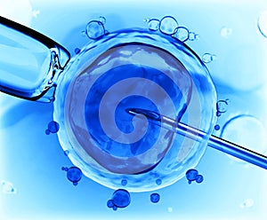 Artificial insemination photo