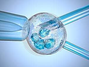 Artificial insemination : glass needle fertilizing a female egg