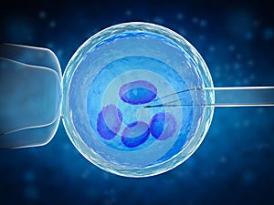Artificial insemination or ivf