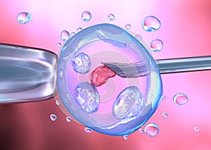 Artificial insemination process