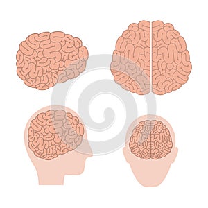 Artificial intelligence brains human set in color silhouette