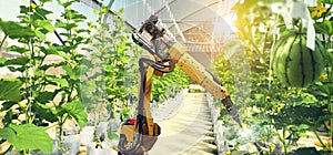 Artificial intelligence. Pollinate of fruits and vegetables