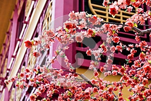 artificial Japanese cherry blossoms in full bloom