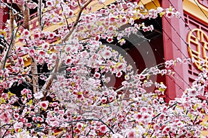 artificial Japanese cherry blossoms in full bloom.