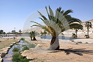 Artificial lake in the desert