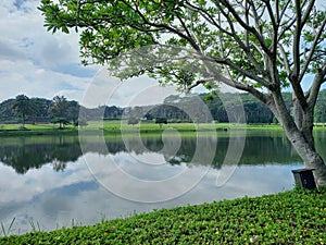 an artificial lake in the middle of the BSB Semarang elite houses