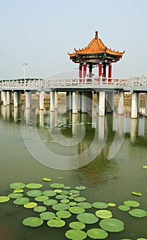 Artificial lake scene