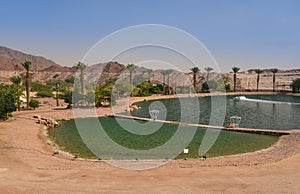 Artificial lake in Timna park, Negev desert, Israel