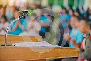 Artificial leaf inserted in the desktop microphone stand on  podium in the auditorium