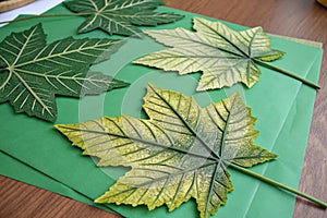 Artificial leaves on green paper photo