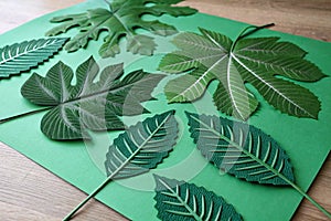 Artificial leaves on green paper photo