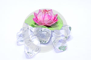 Artificial lotus on fake ice 01