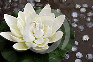 The artificial lotus flower