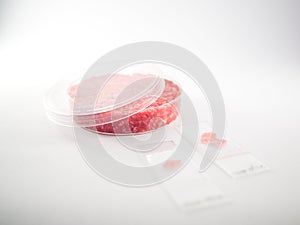 Artificial meat research