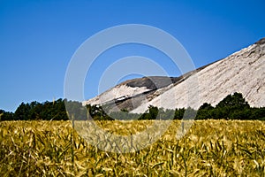 An artificial mountain where potassium is mined behind a yellow cornfield in Hesse, Germany