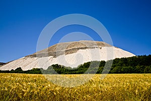 An artificial mountain where potassium is mined behind a yellow cornfield in Hesse, Germany