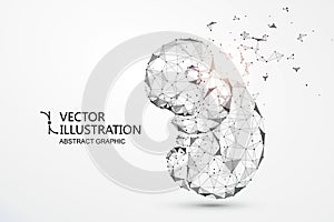Artificial nurtured bionic fetuses, points and lines connected, vector illustration
