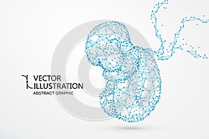 Artificial nurtured bionic fetuses, points and lines connected, vector illustration