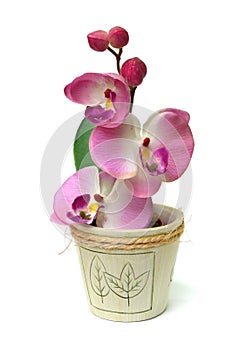 Artificial orchid