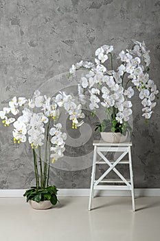 Artificial orchids flower like real as modern evergreen ecological decoration for interiors