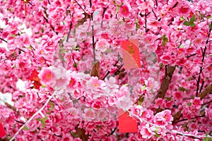 artificial peach blossom and red pockets at horizontal composition